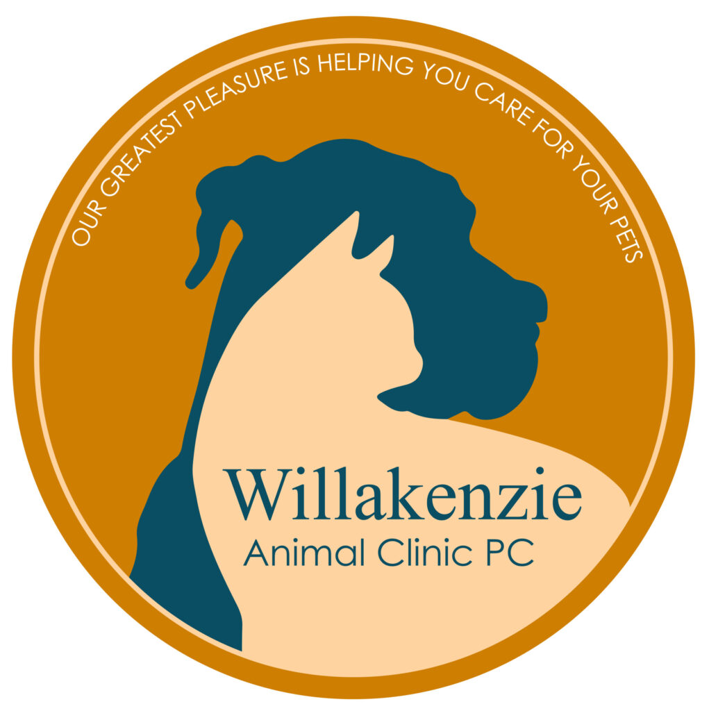 Photo Gallery Success | Willakenzie Animal Clinic